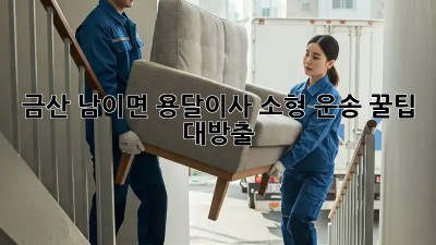 금산 남이면 용달이사🚚 소형 운송 꿀팁 대방출!✨